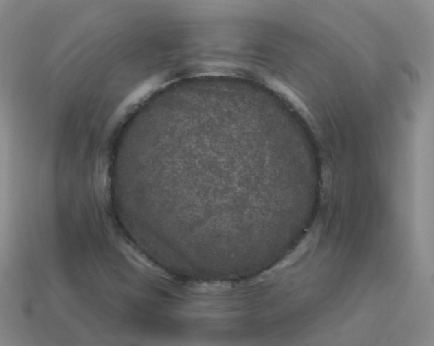 X0000113881403200910081737