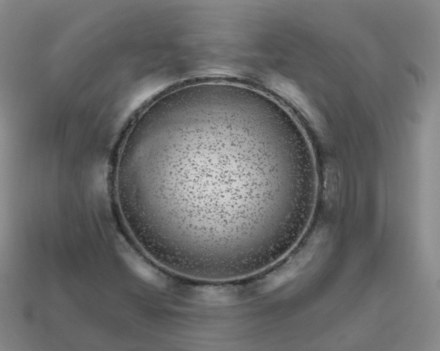 X0000113881404200910081737