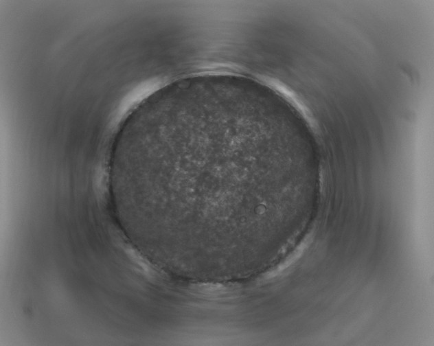 X0000113881405200910081737