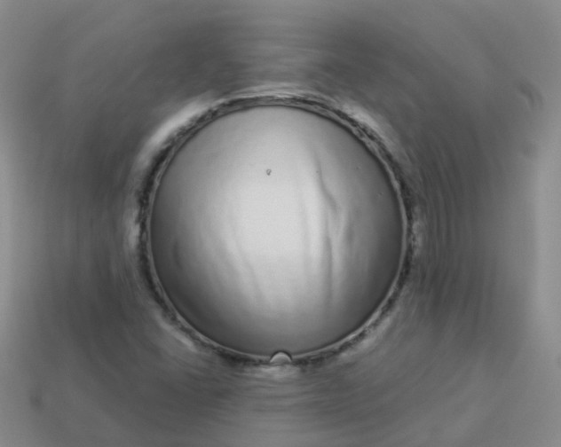 X0000113881406200910081737