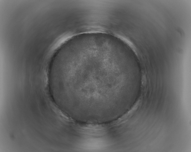 X0000113881407200910081737