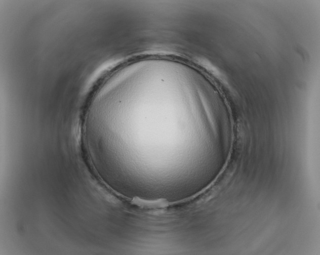 X0000113881408200910081737