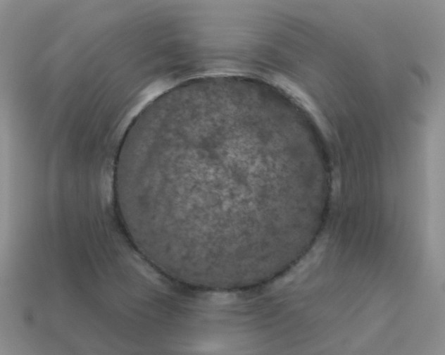 X0000113881409200910081737