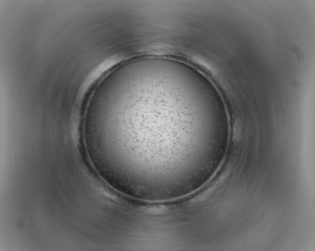 X0000113881410200910081737