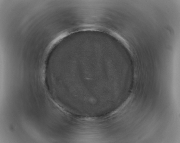 X0000113881411200910081737