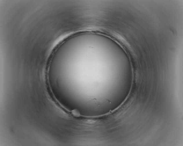 X0000113881412200910081737