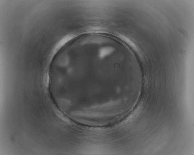 X0000113881413200910081737