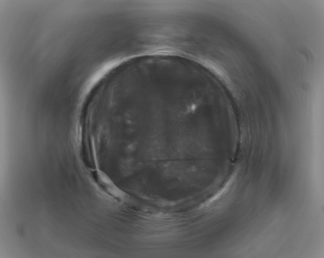 X0000113881414200910081737