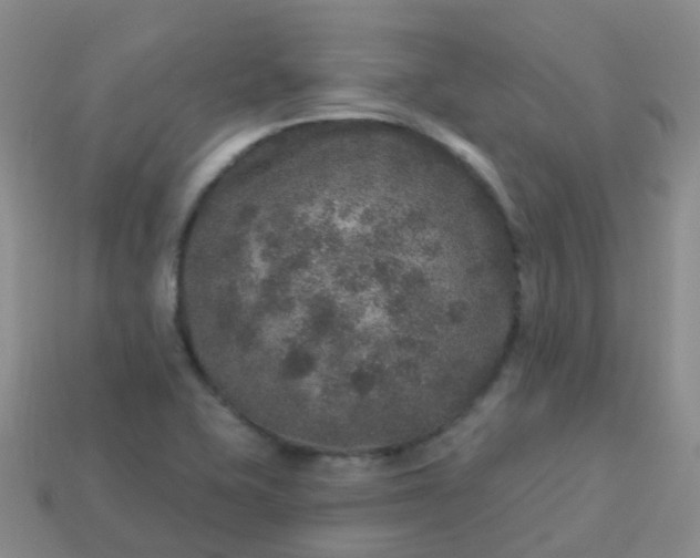 X0000113881415200910081737