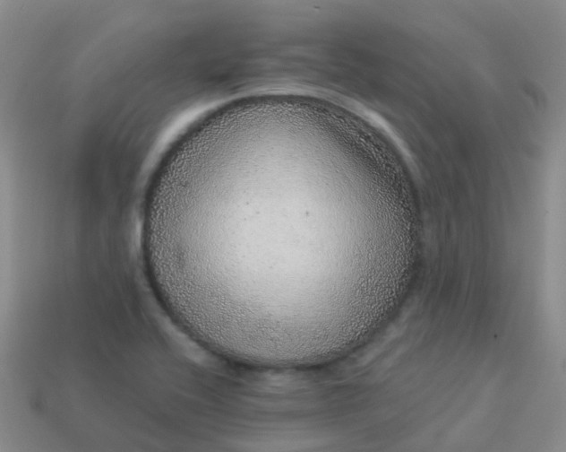 X0000113881416200910081737