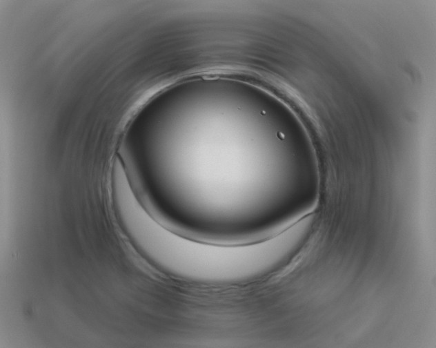 X0000113881417200910081737