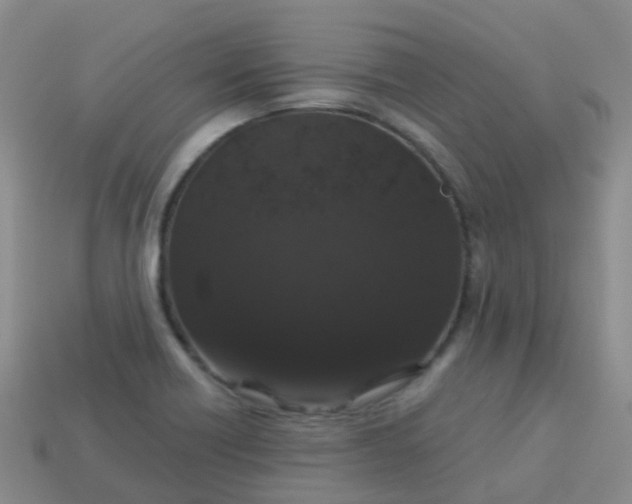 X0000113881418200910081737