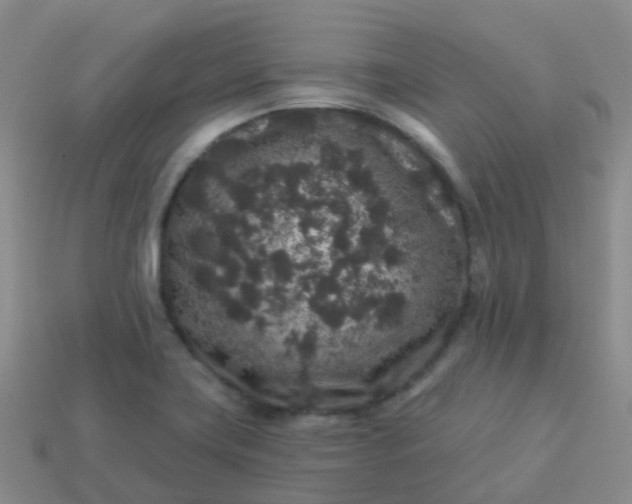 X0000113881419200910081737