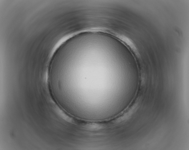 X0000113881420200910081737