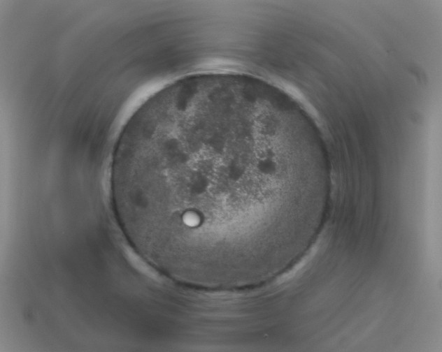 X0000113881421200910081737