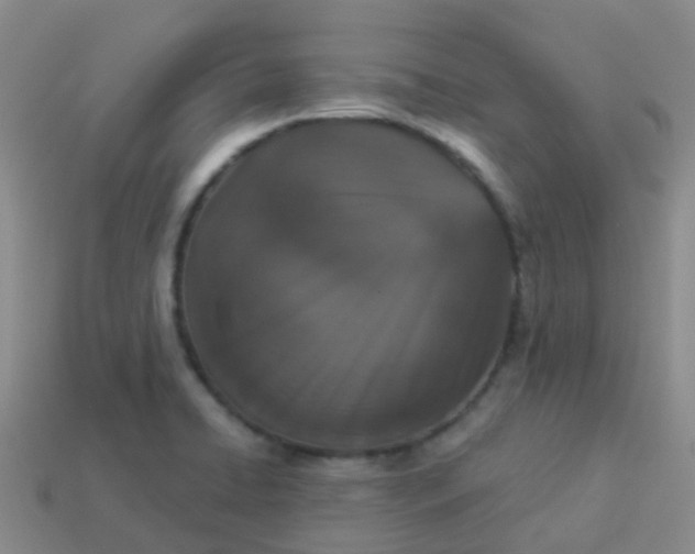 X0000113881422200910081737