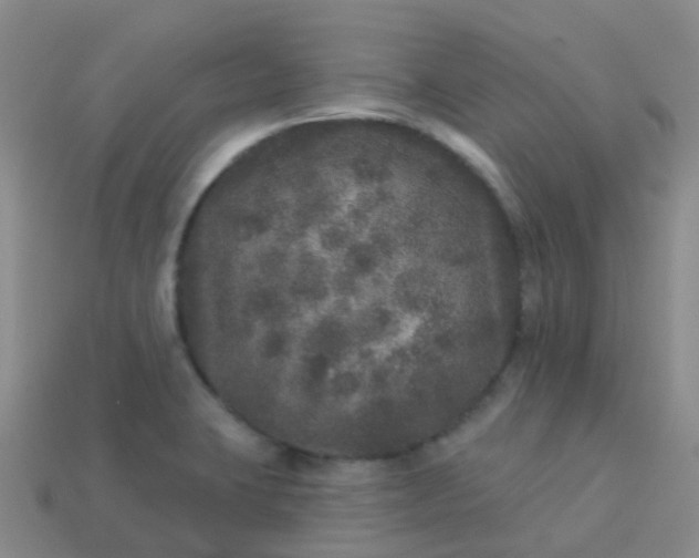 X0000113881423200910081738