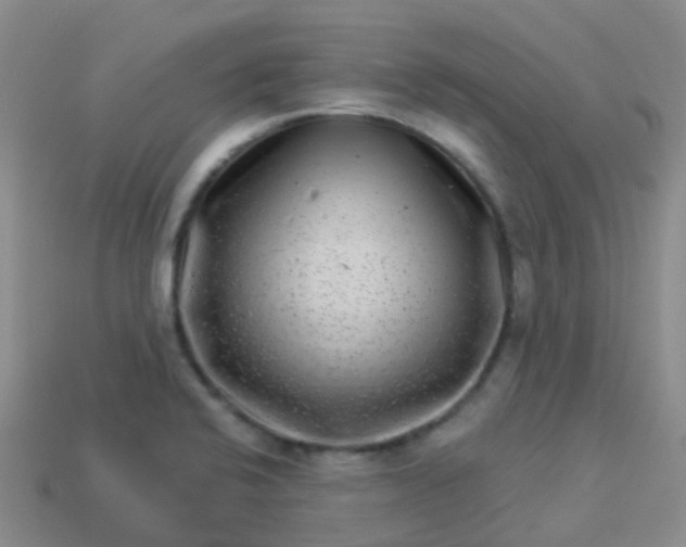 X0000113881424200910081738