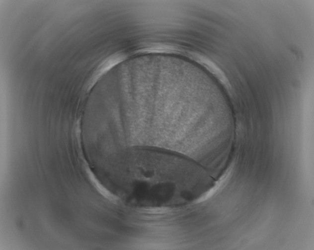 X0000113881425200910081738