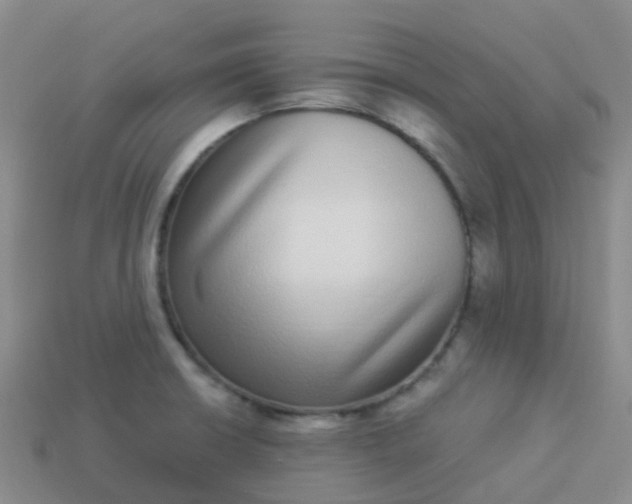 X0000113881426200910081738