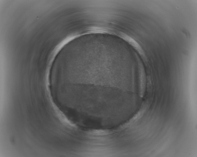 X0000113881427200910081738