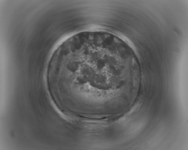 X0000113881429200910081738