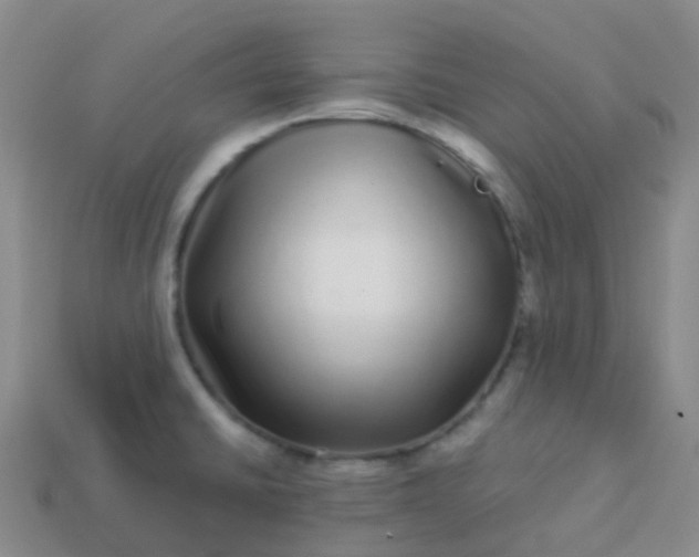 X0000113881430200910081738