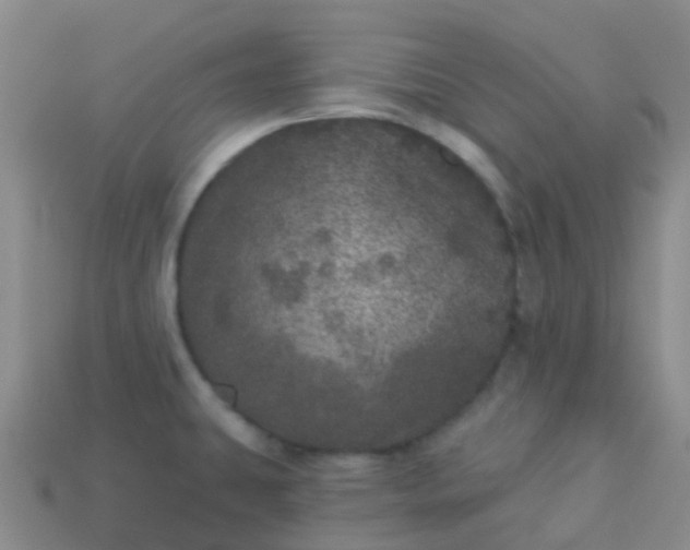 X0000113881431200910081738