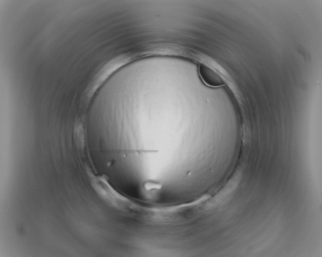 X0000113881433200910081738