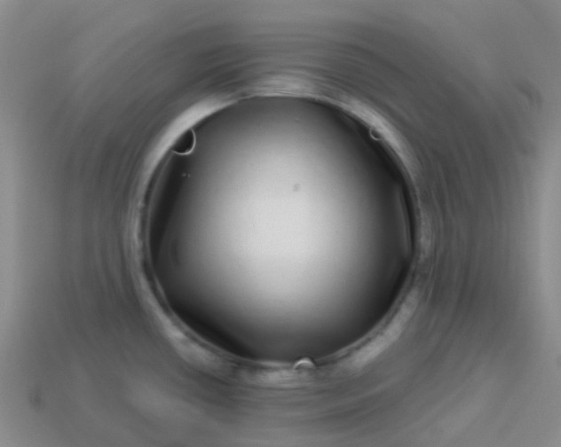 X0000113881434200910081738