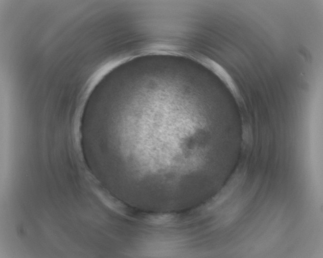 X0000113881435200910081738