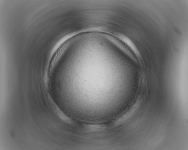 X0000113881436200910081738