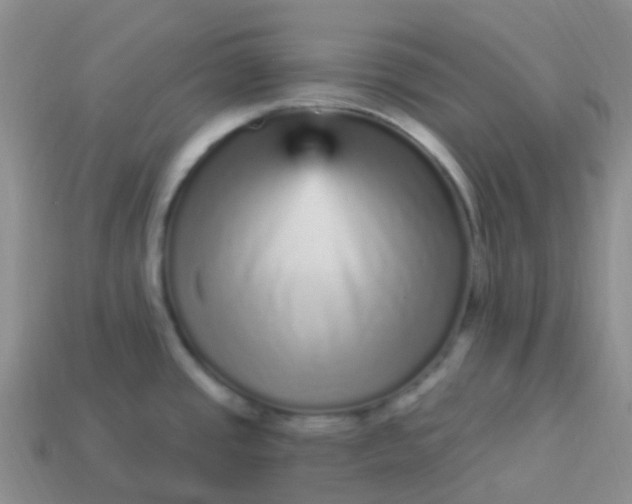 X0000113881437200910081738