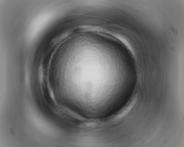 X0000113881438200910081738