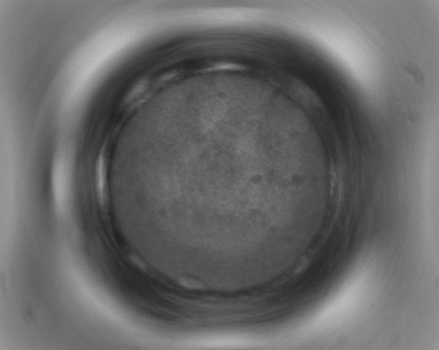 X0000113881439200910081738