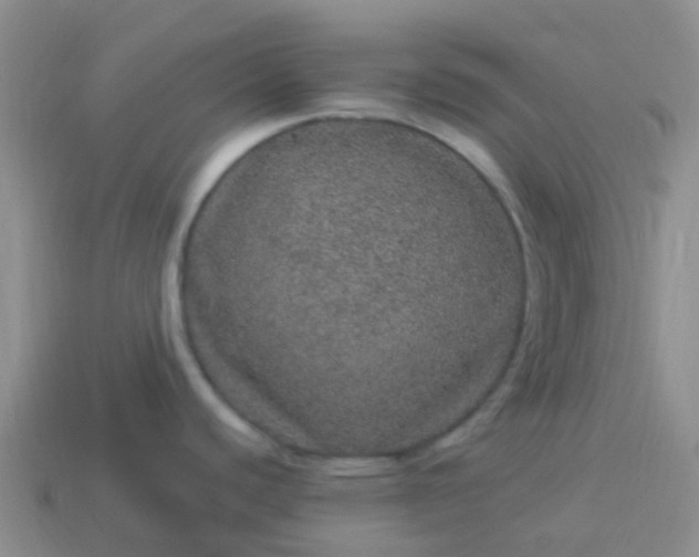 X0000113881440200910081738