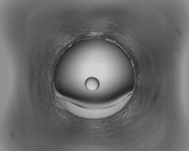 X0000113881441200910081737