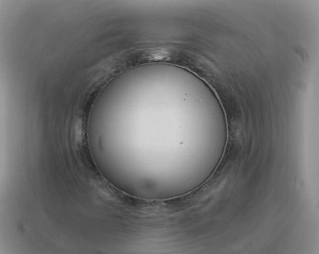 X0000113881442200910081737