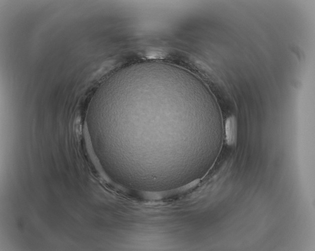 X0000113881443200910081737