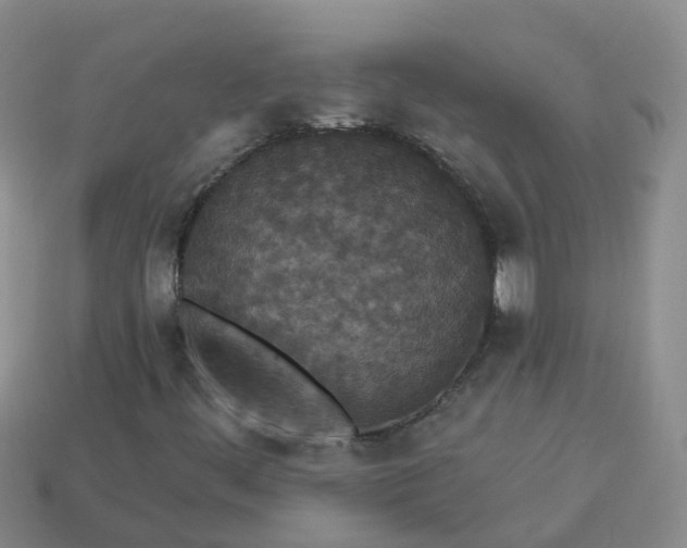 X0000113881444200910081737