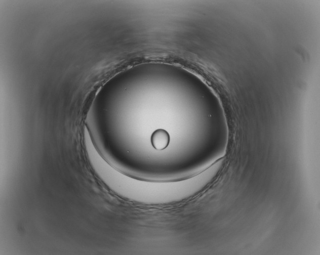 X0000113881445200910081737