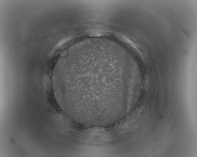 X0000113881446200910081737