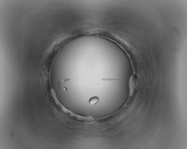 X0000113881447200910081737