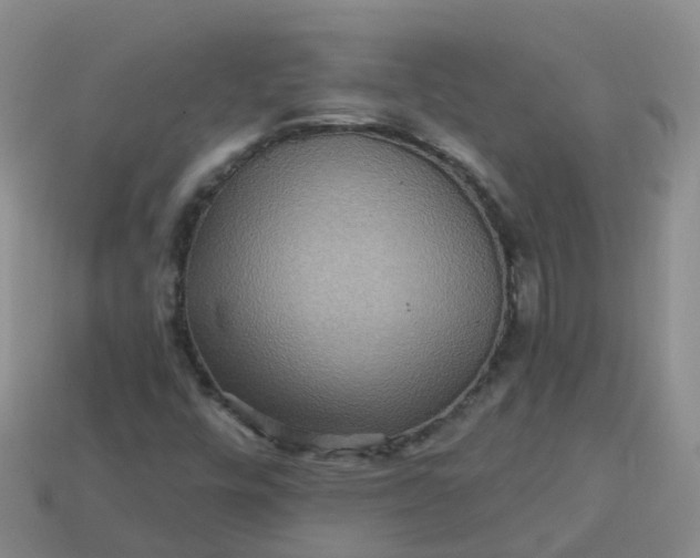 X0000113881448200910081737