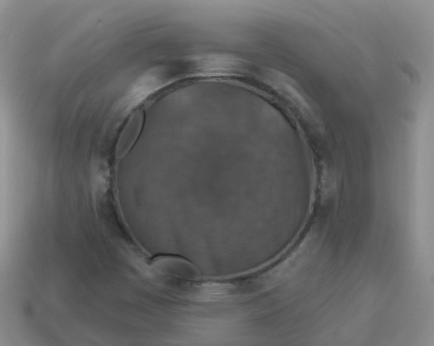 X0000113881449200910081737