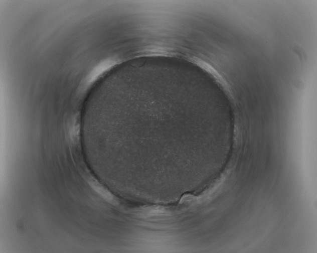 X0000113881450200910081737