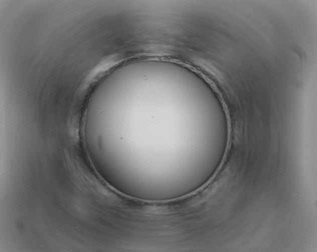 X0000113881451200910081737