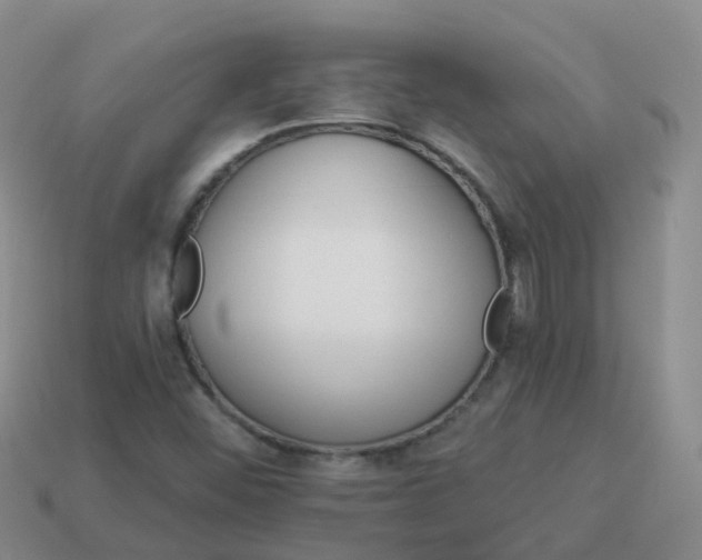 X0000113881452200910081737