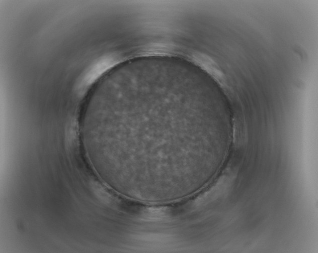 X0000113881453200910081737