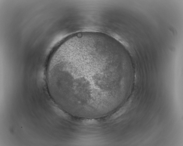 X0000113881454200910081737